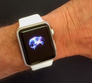 Apple Watch on my wrist
